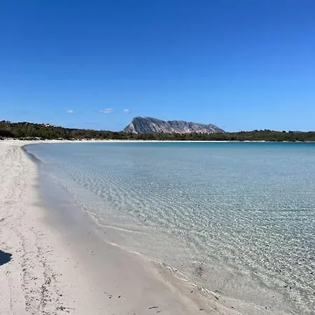 Flat Flumendosa 31 Olbia